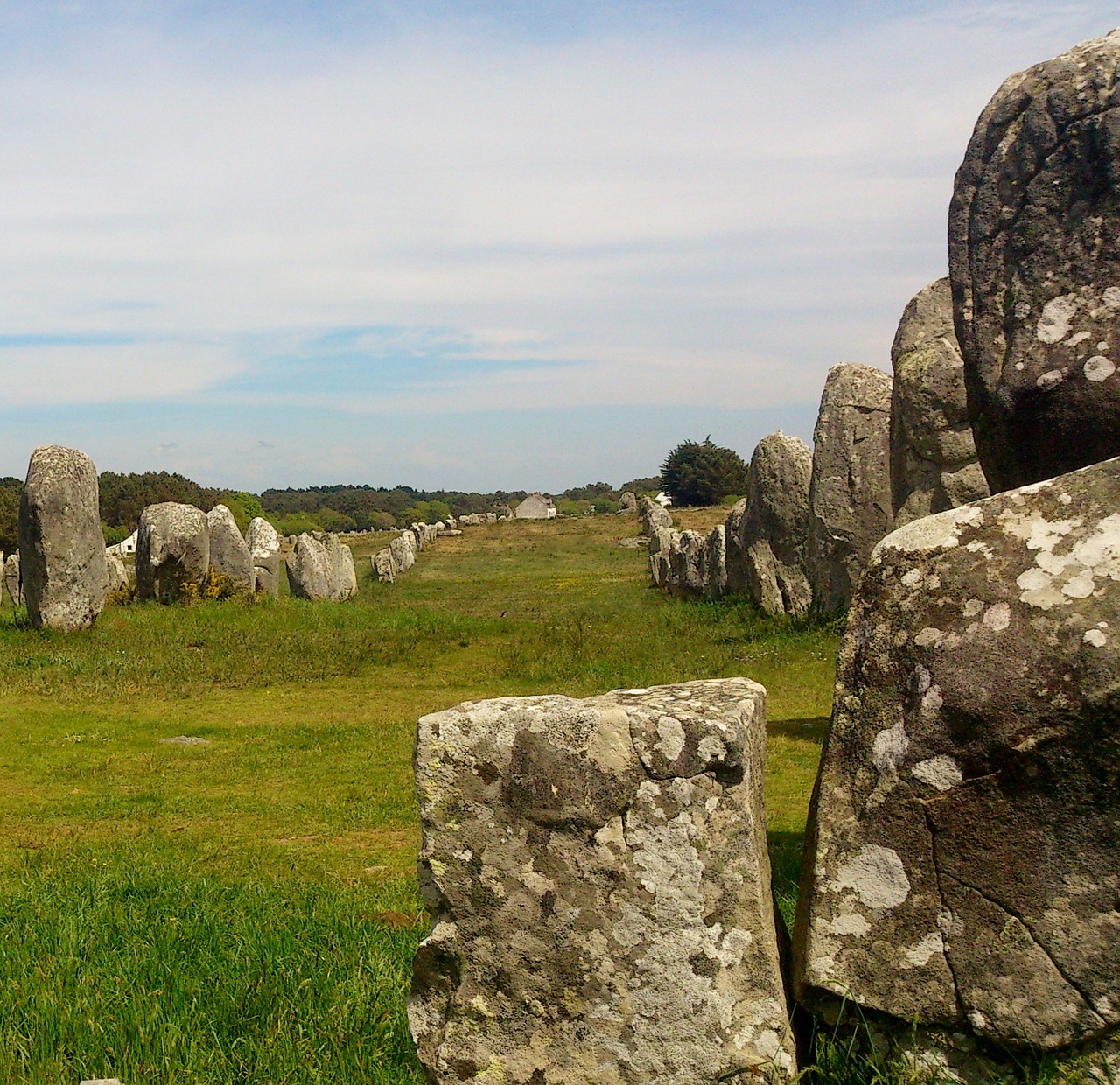 carnac stones brittany megalith free photo
