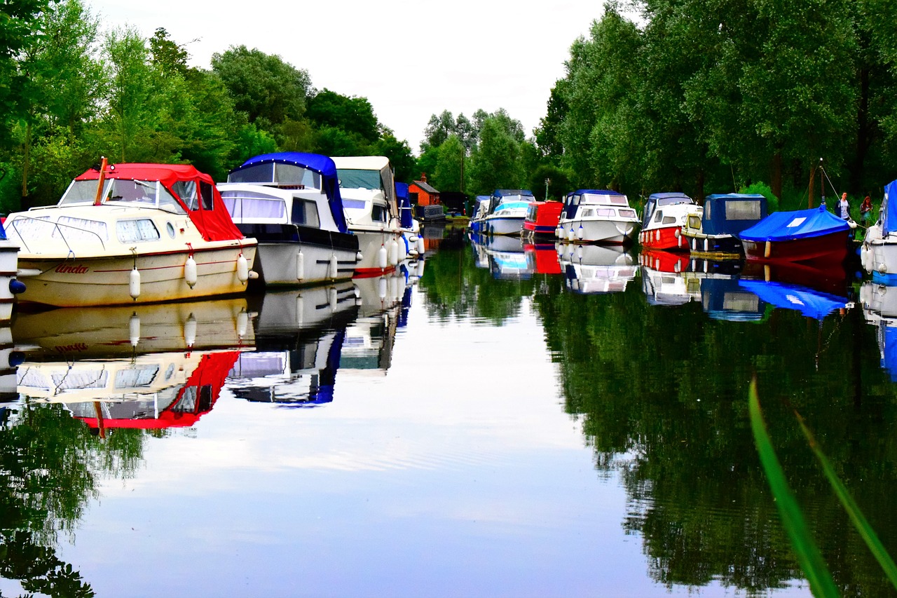 carnal boat water tree free photo