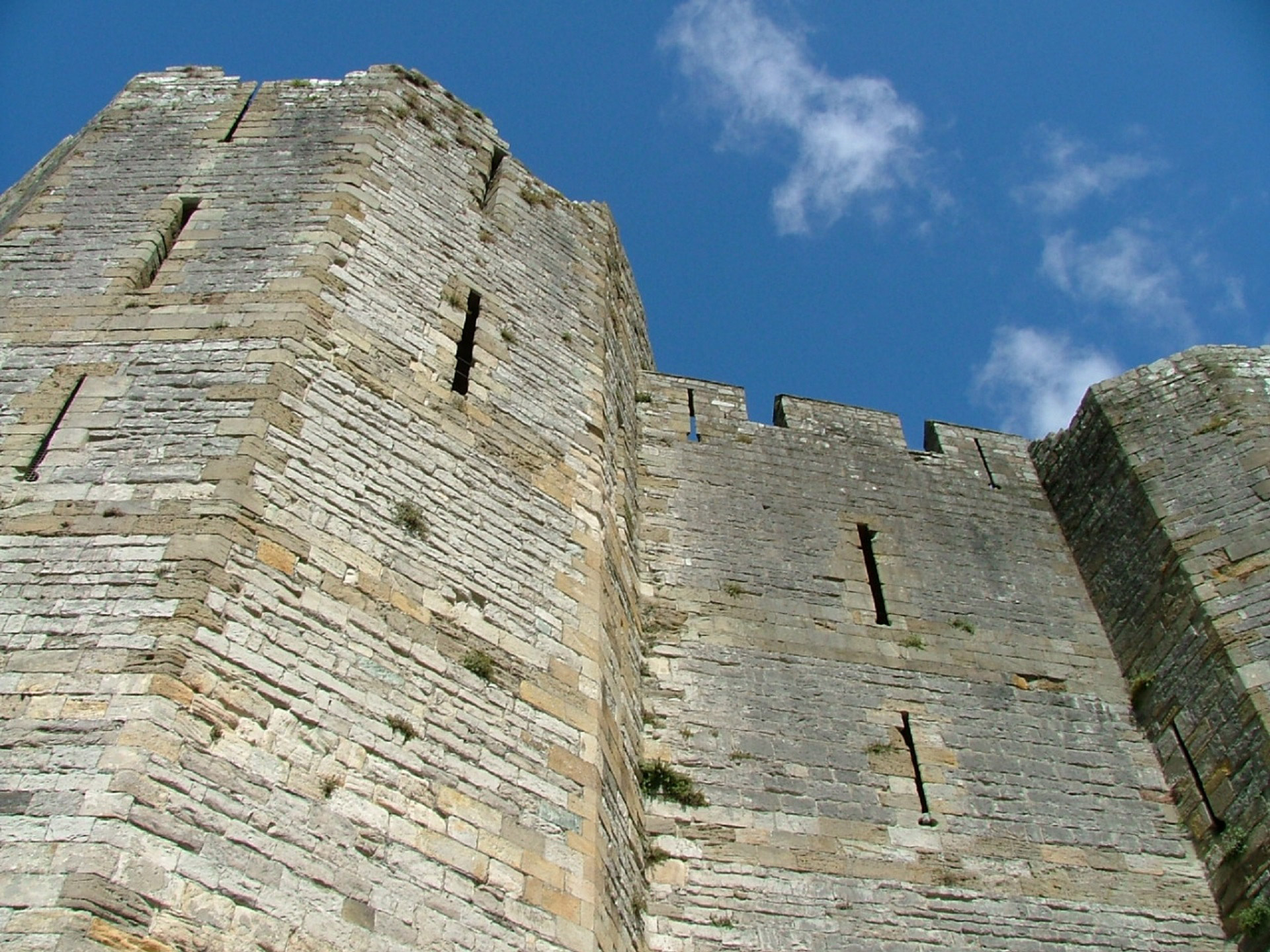 carnarvon castle welsh castle castle wall free photo