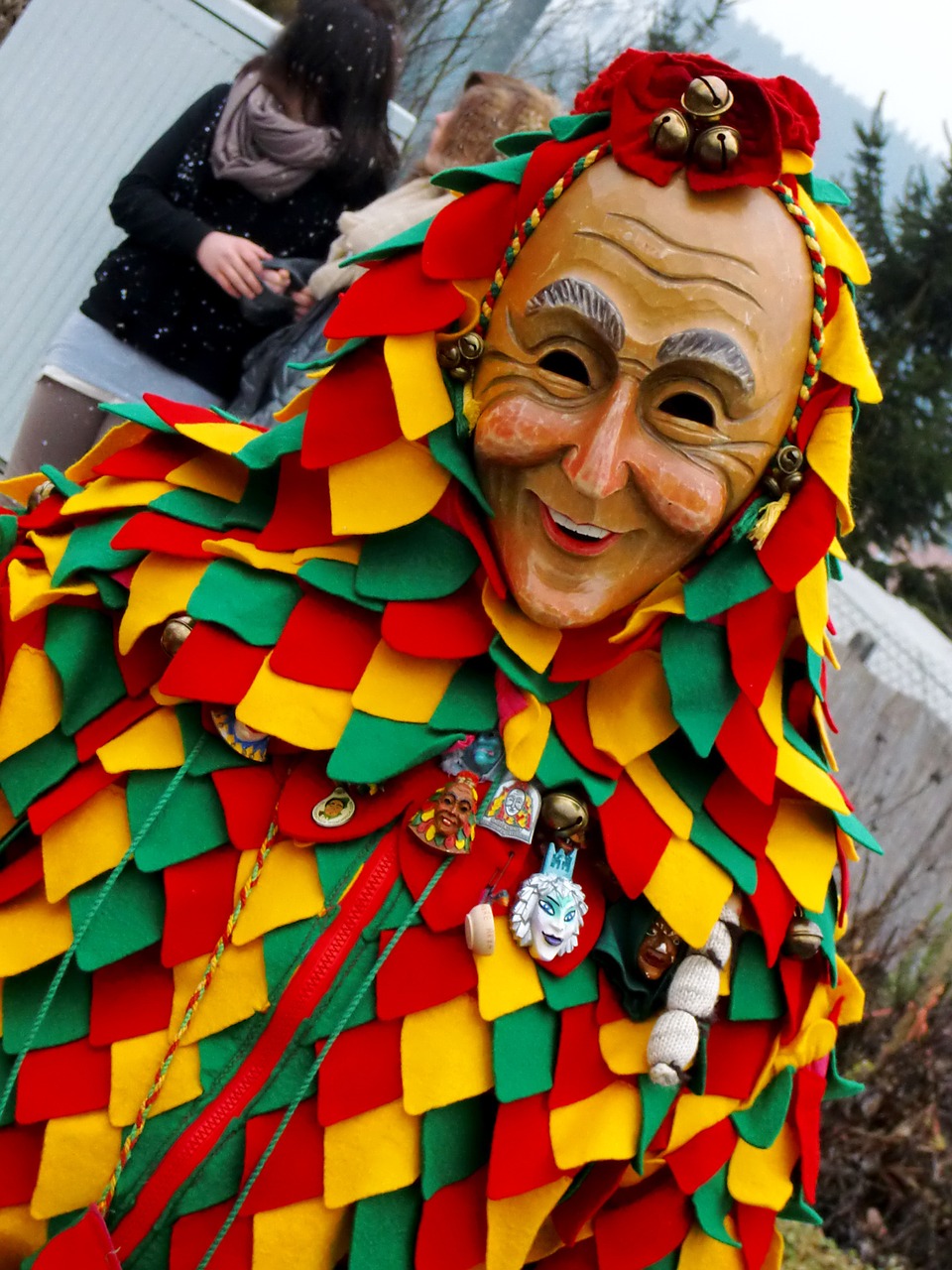carnival costume mask free photo