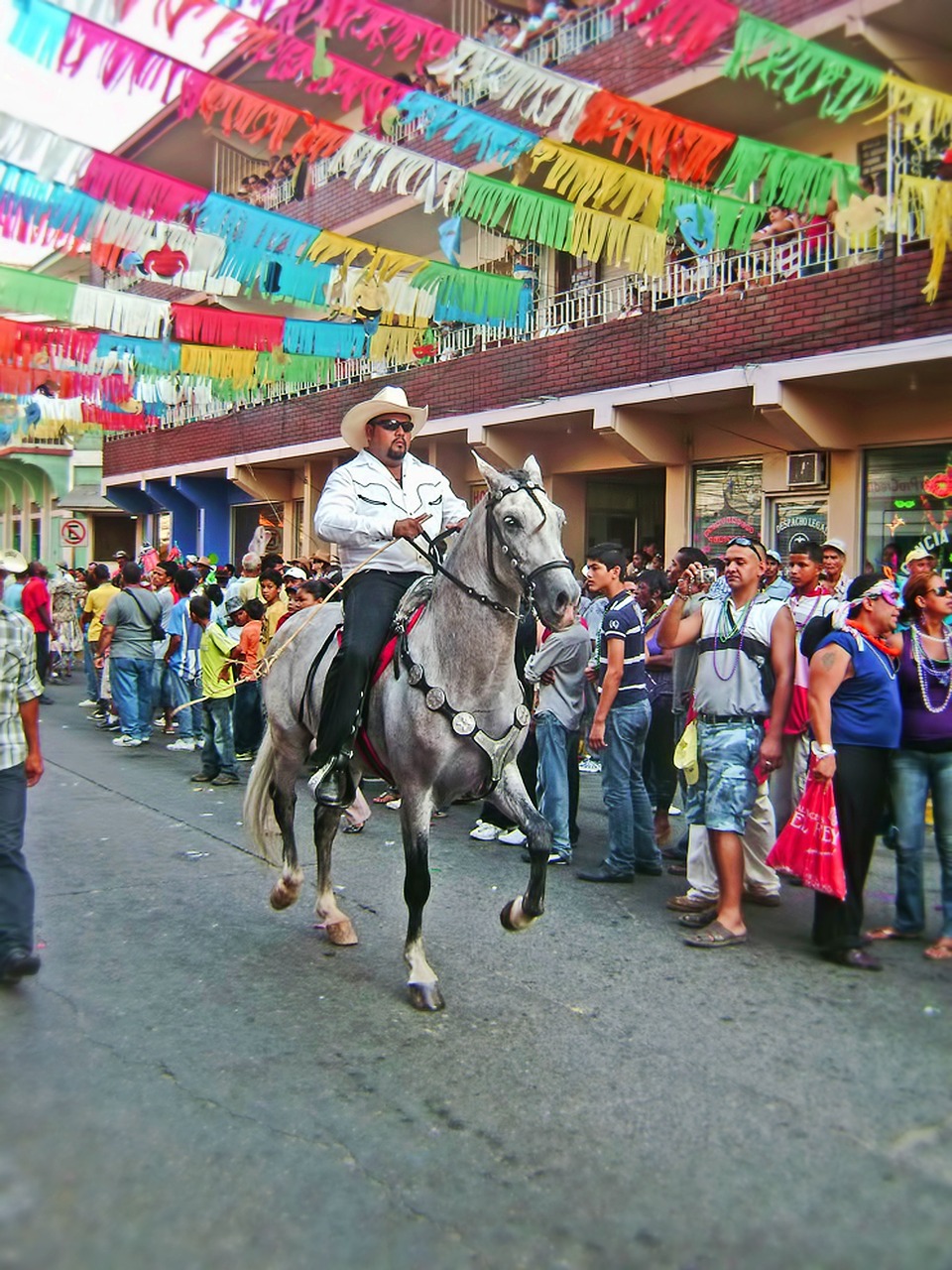 carnival rider horse free photo