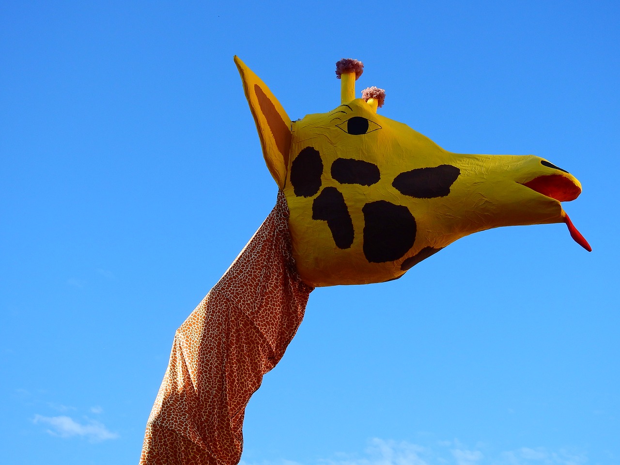 carnival move giraffe free photo