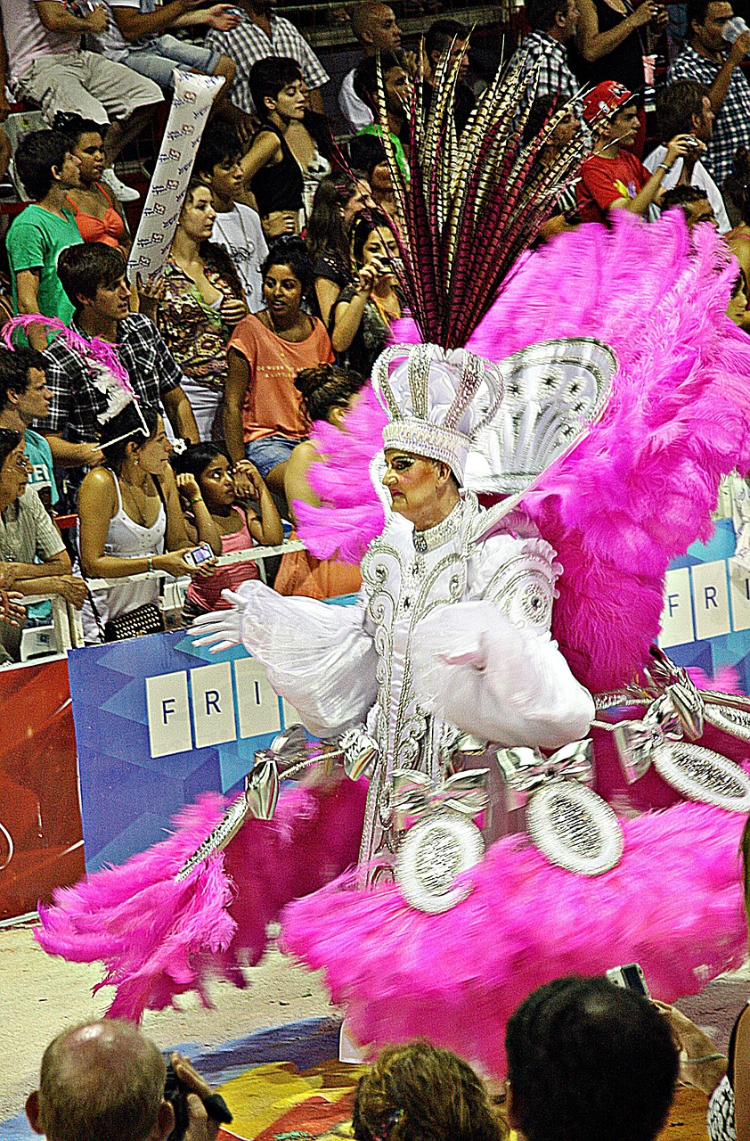 carnival costume rio free photo