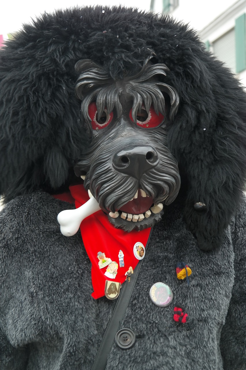 carnival dog masks free photo