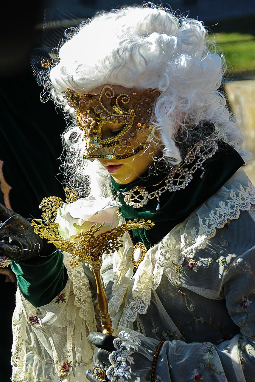 carnival costume schwäbisch hall free photo