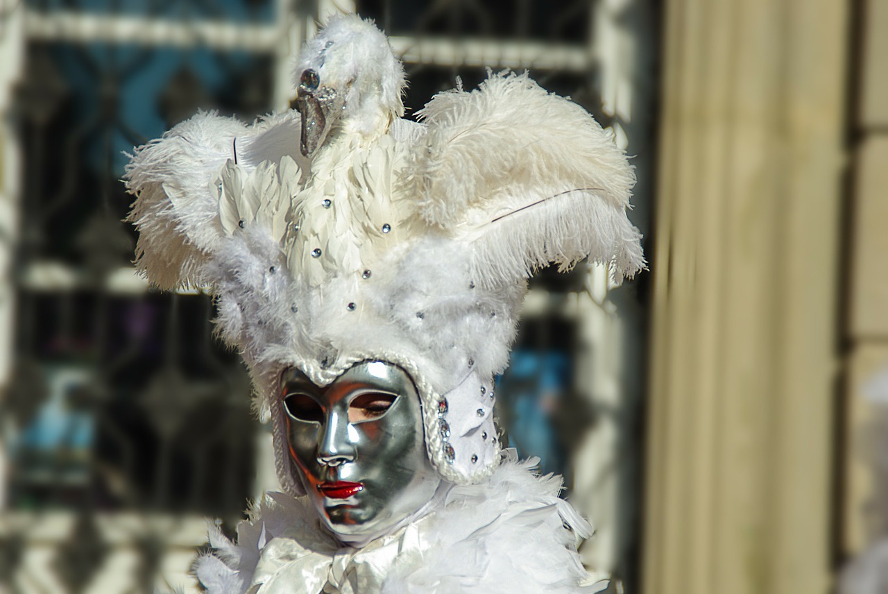 carnival costume schwäbisch hall free photo