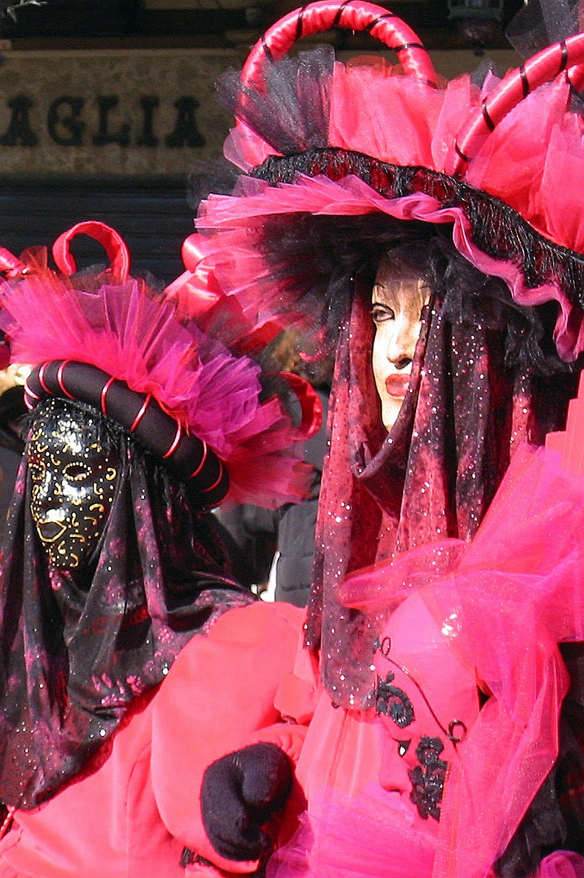 carnival venice carnival of venice free photo