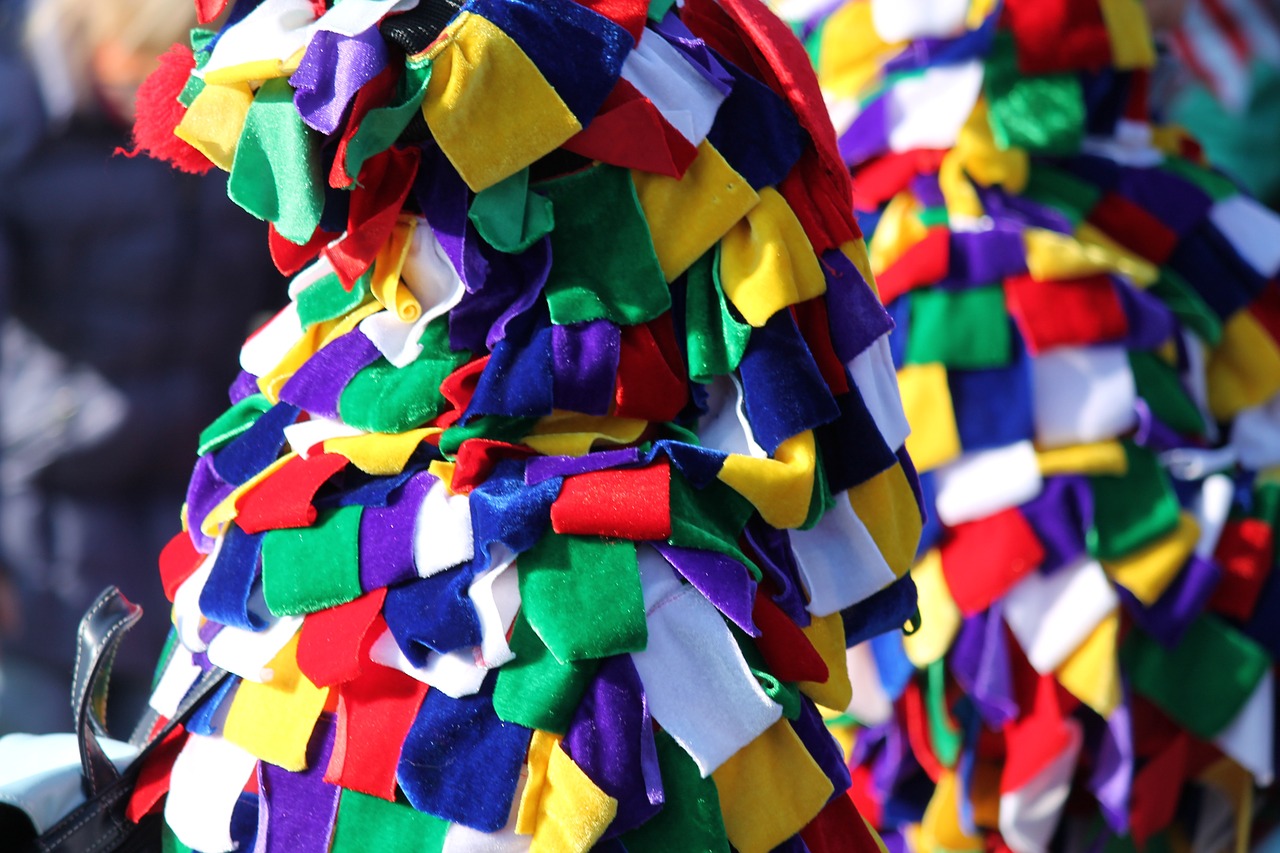 carnival colorful costume free photo