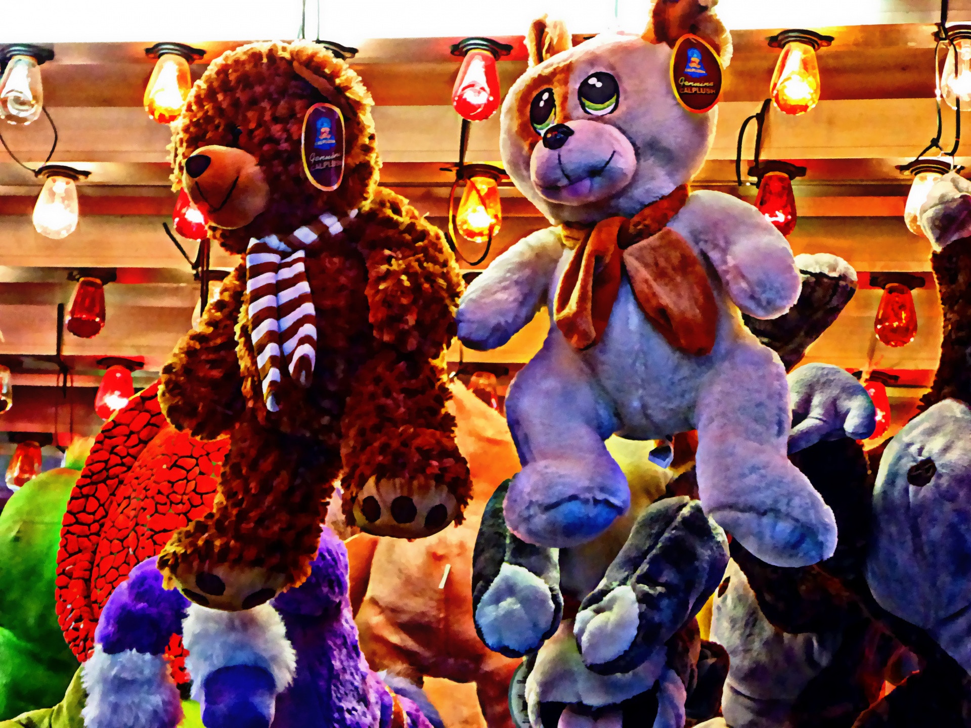 stuffed animal toys carnival free photo