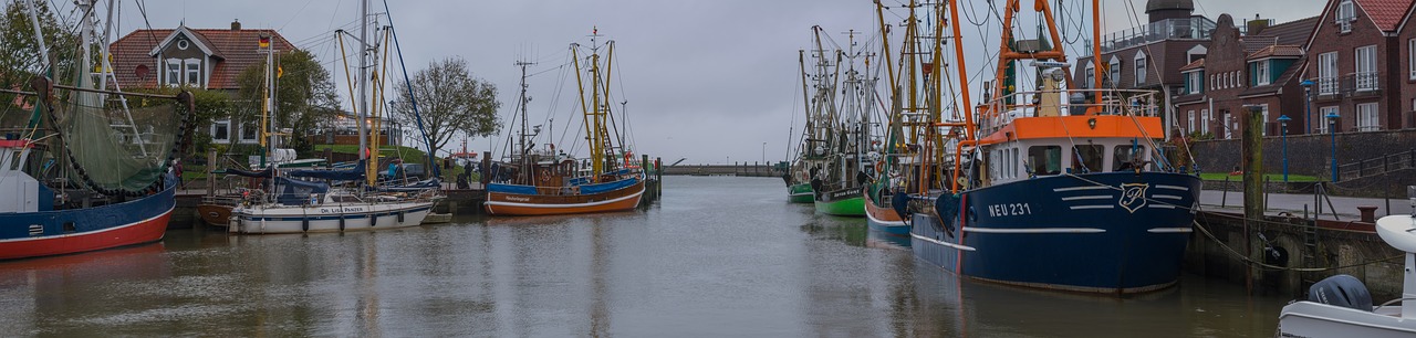 carolinensiel  port  ships free photo