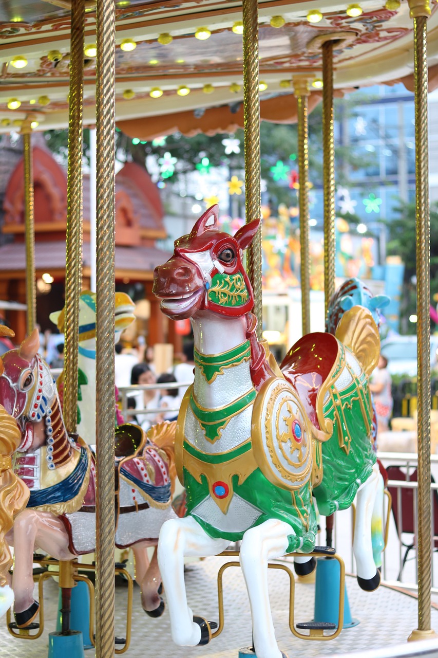 carousel enjoy pretty free photo