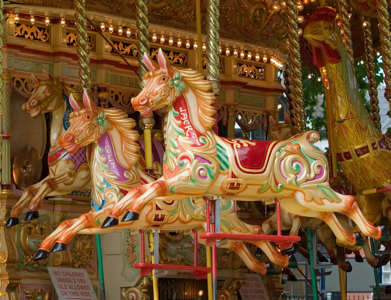 carousel horse horses free photo
