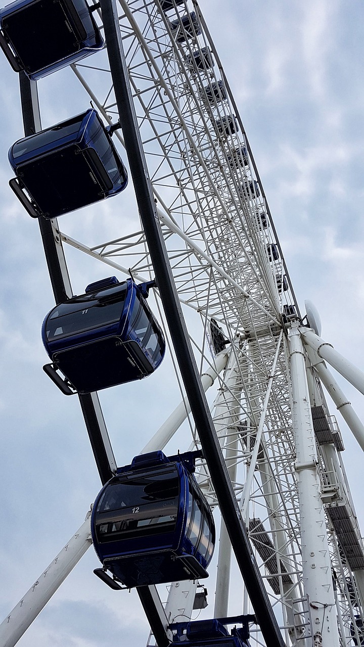 carousel  ferris wheel  fun free photo