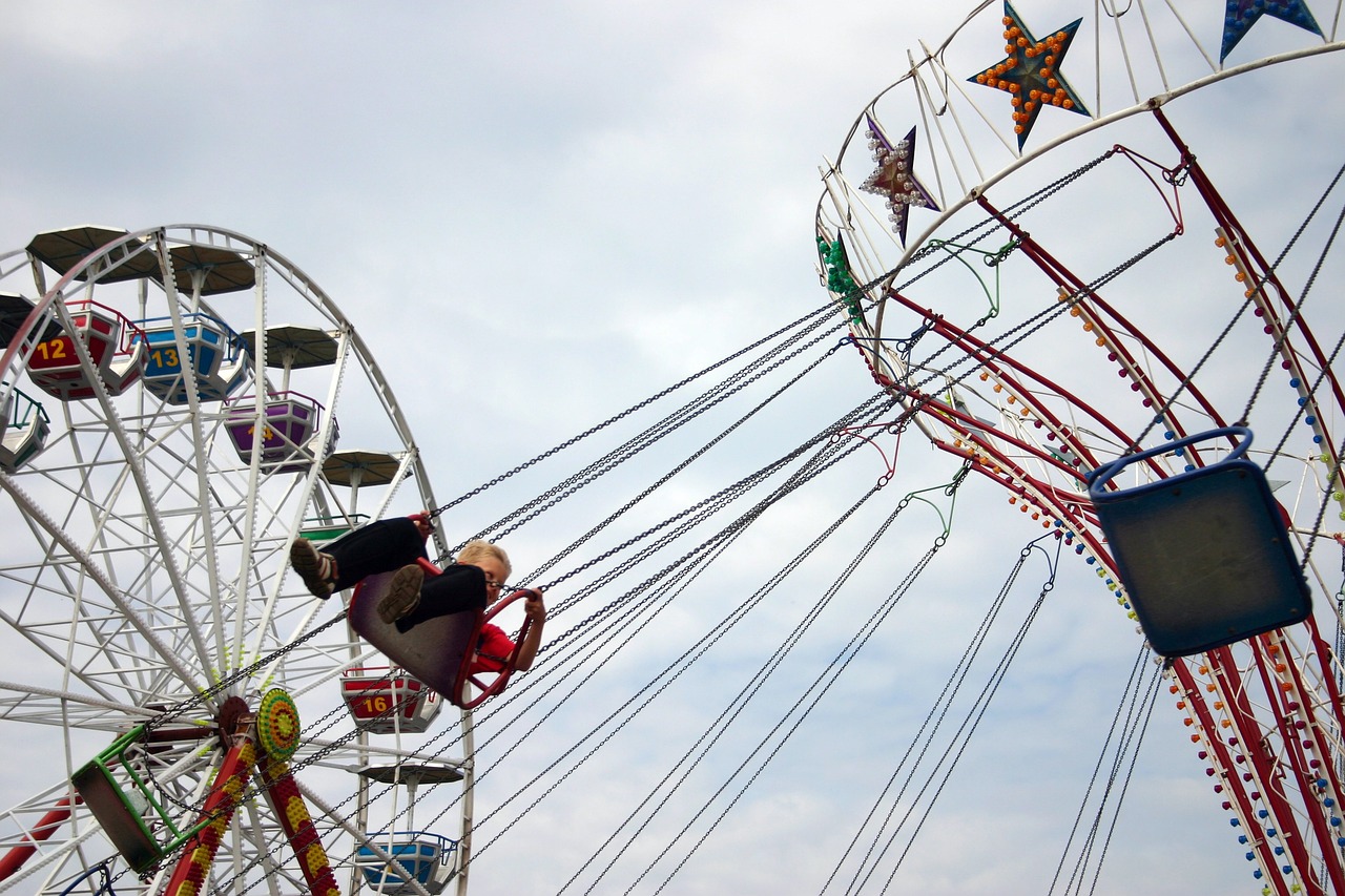 carousel  amusement park  entertainment free photo