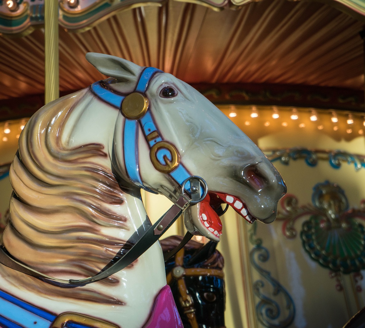 carousel horse amusement free photo