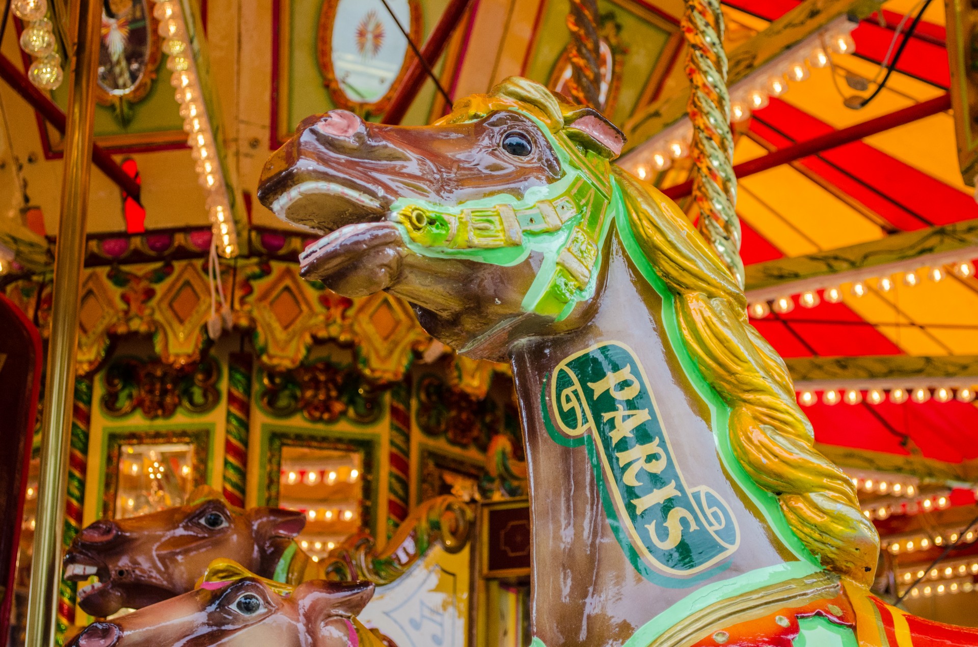 carousel park holiday free photo