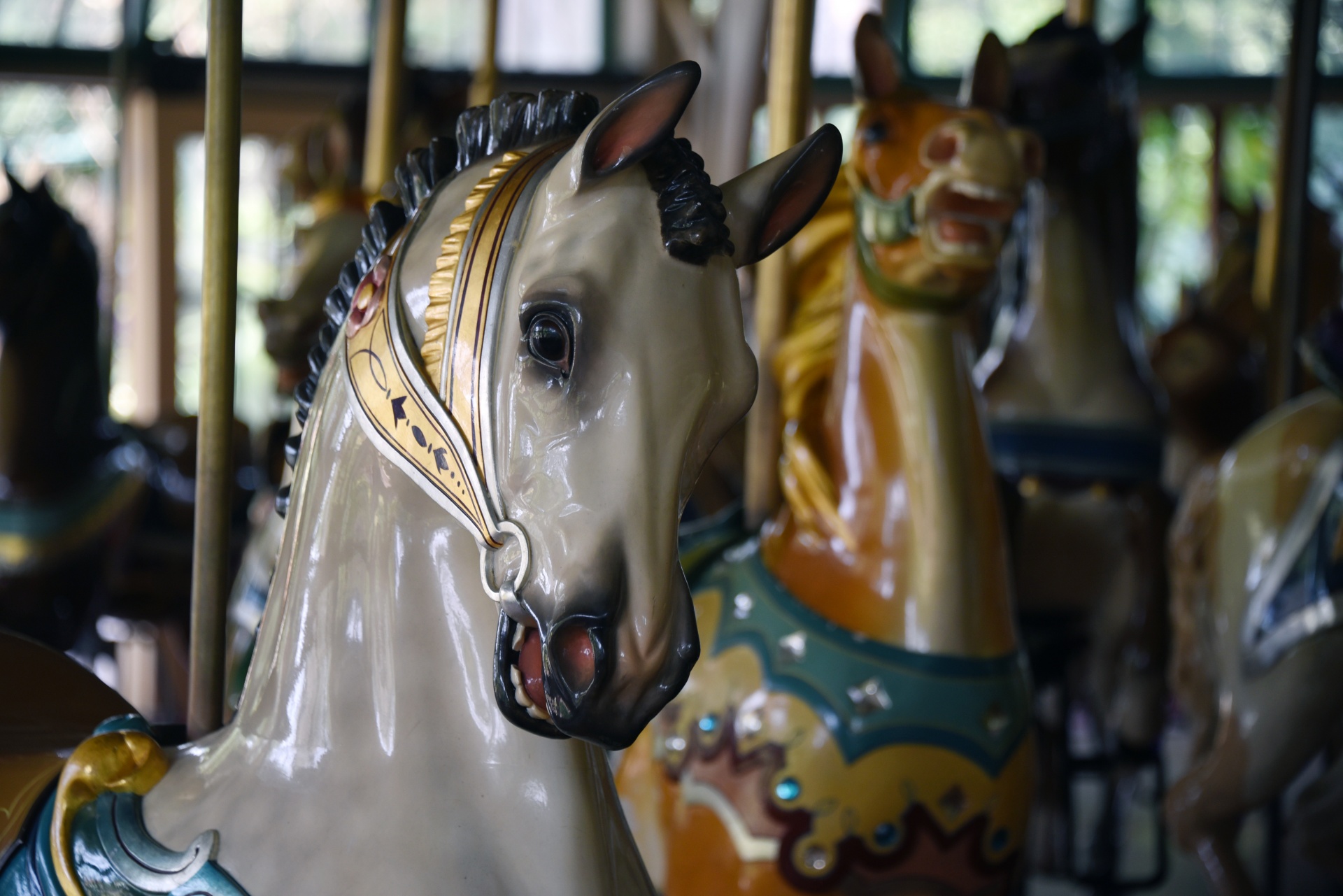 carousel horse head free photo