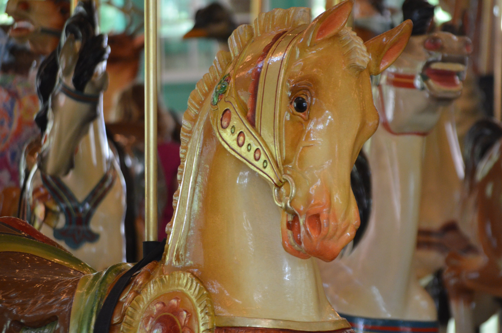 carousel horse merry free photo