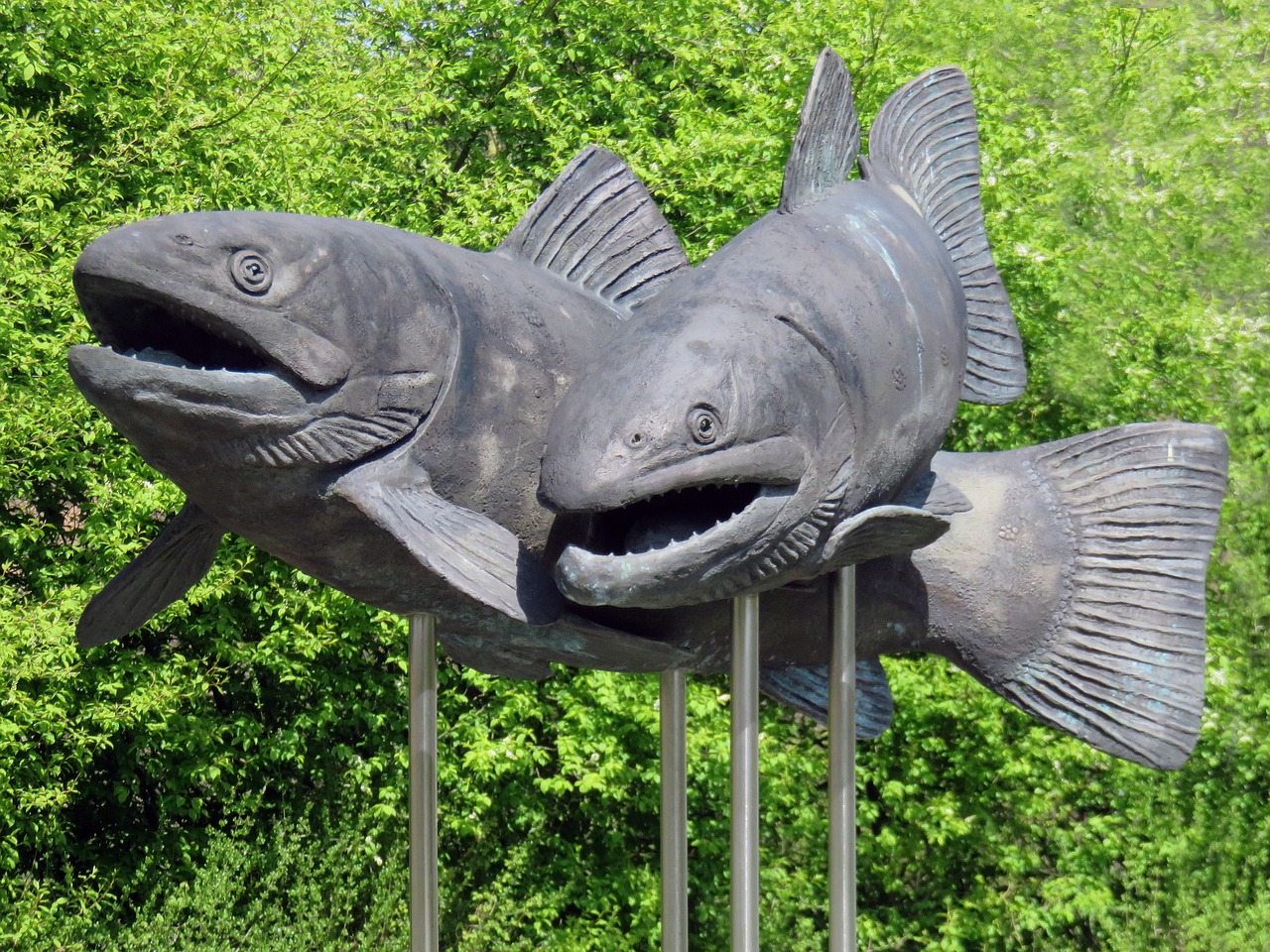 carp fish sculpture free photo