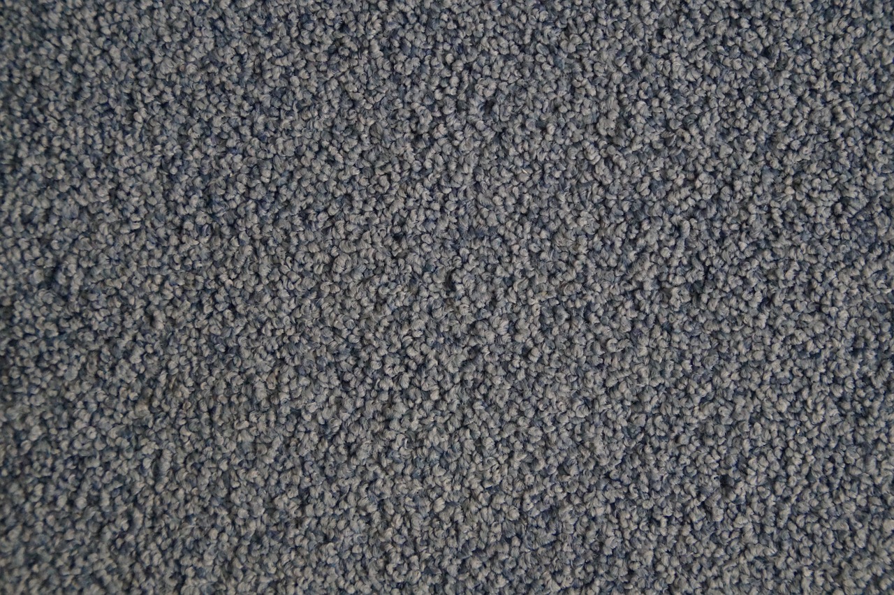 carpet structure texture free photo