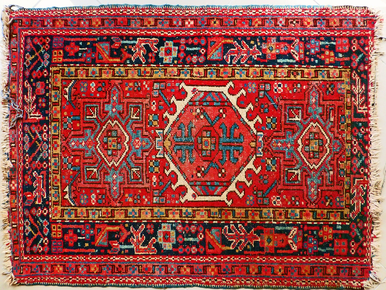 carpet persians red free photo