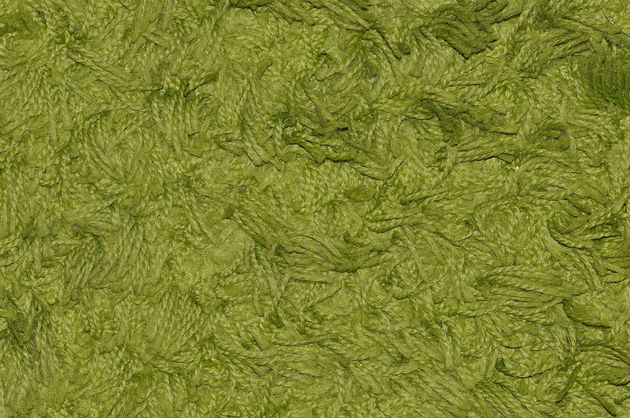 carpet green synthetic fiber free photo