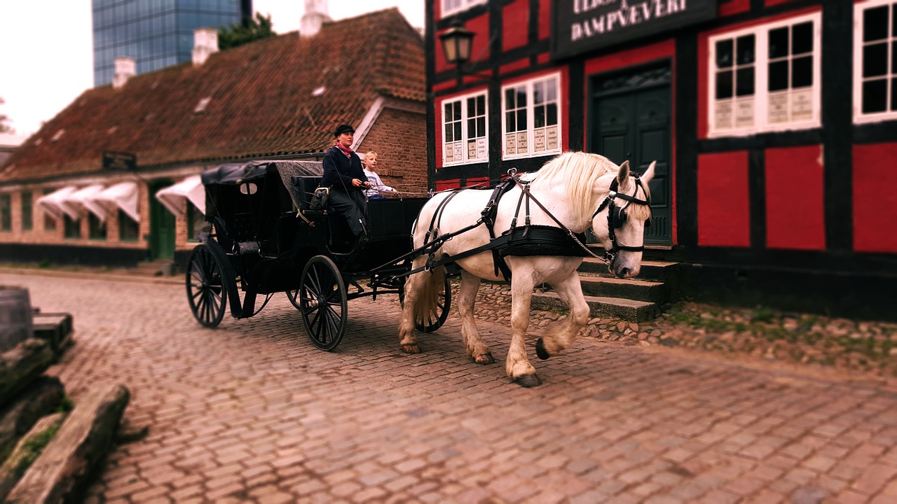 carriage horse carridge old town free photo