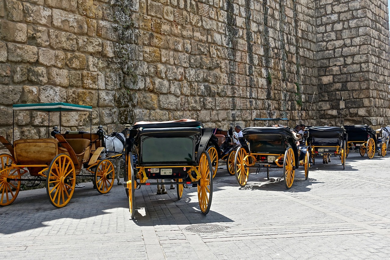 carriage horses traditional free photo