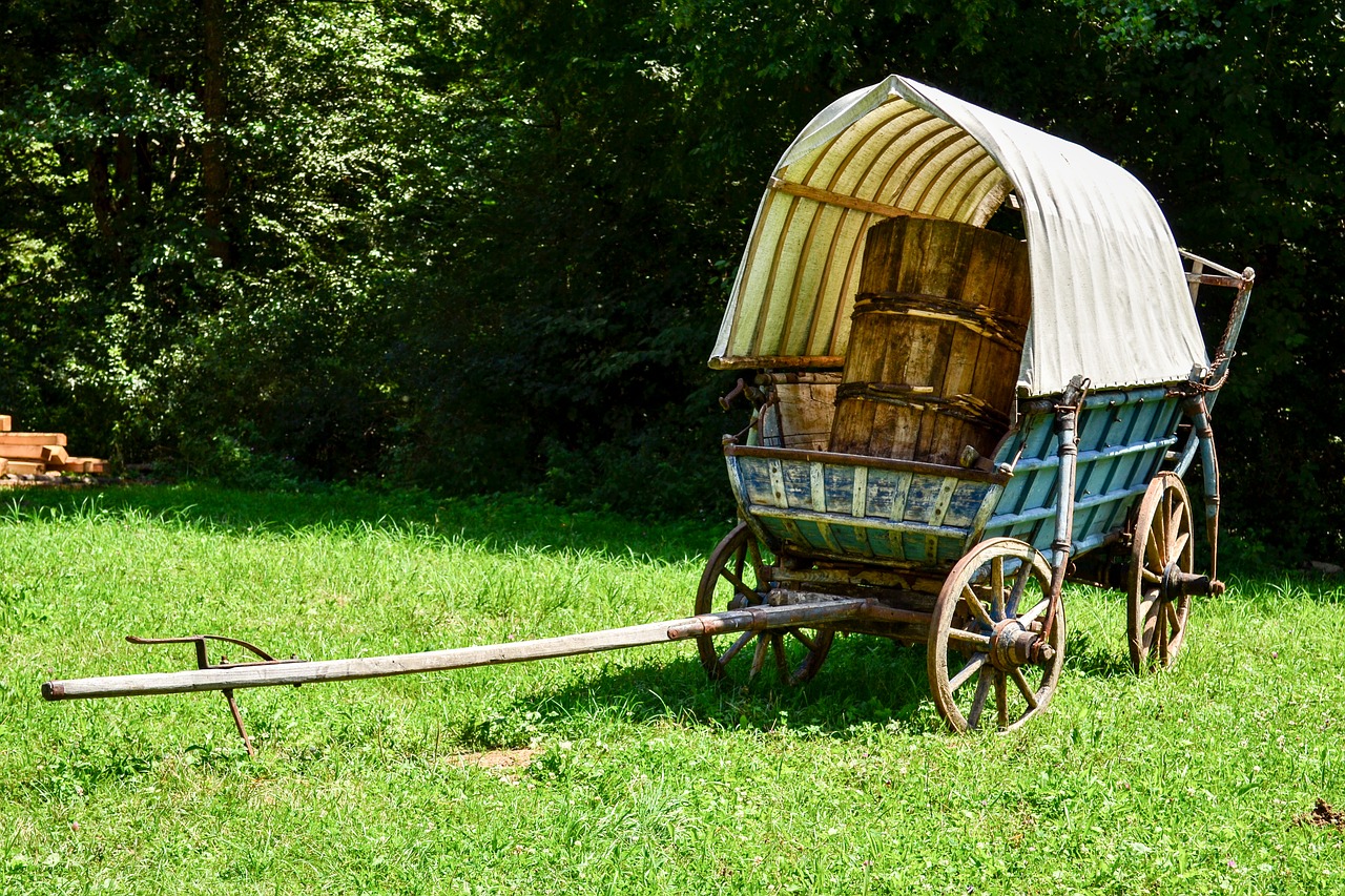 carriage old traditional free photo