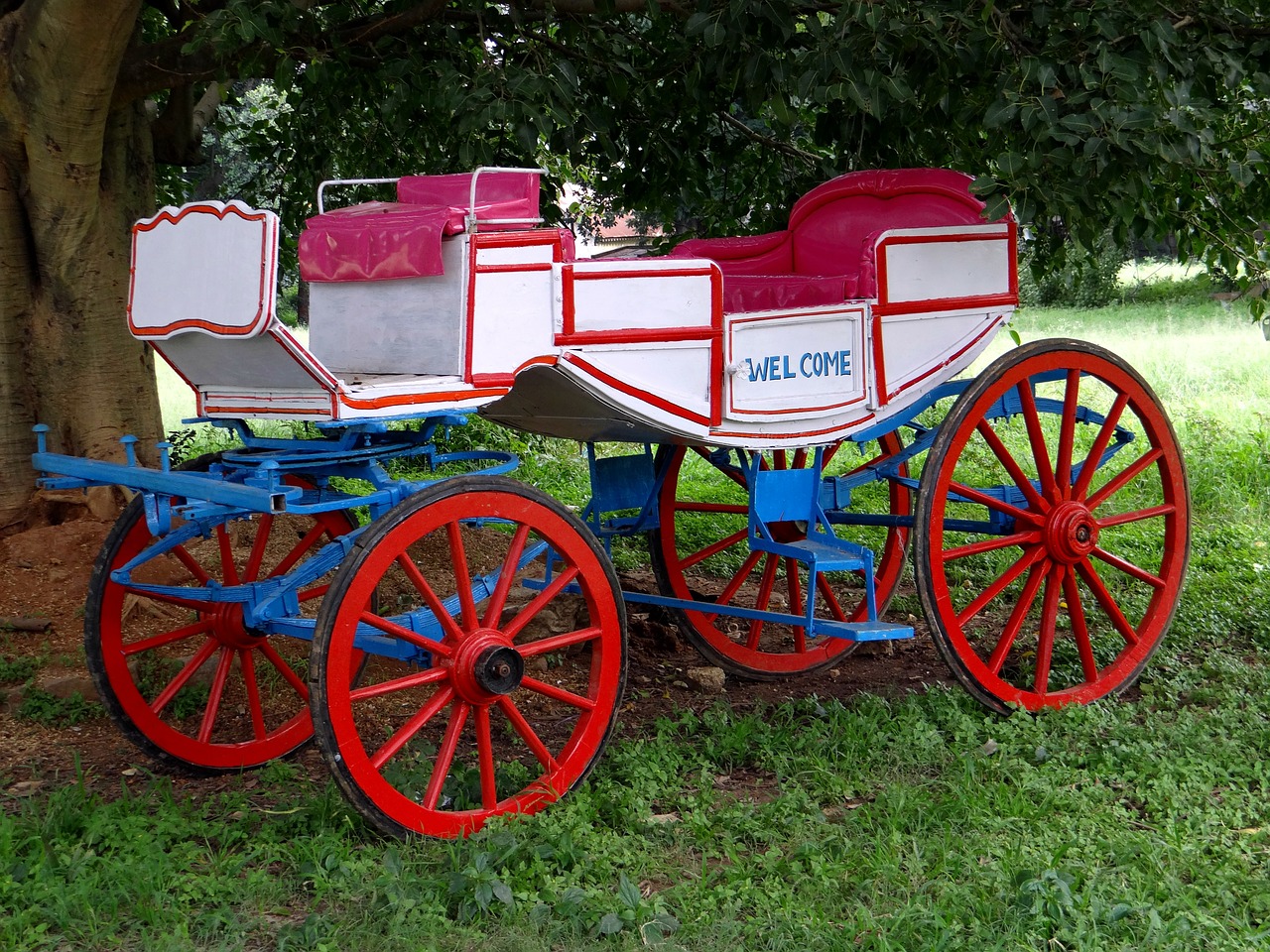 Download free photo of Carriage,horse,horse drawn carriage,coach,wagon ...