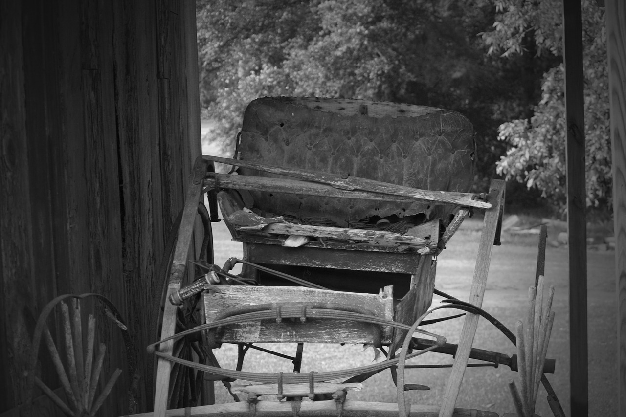 carriage antique wagon free photo