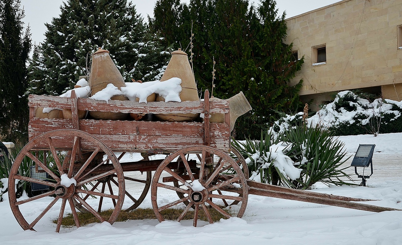 carriage rides trees free photo