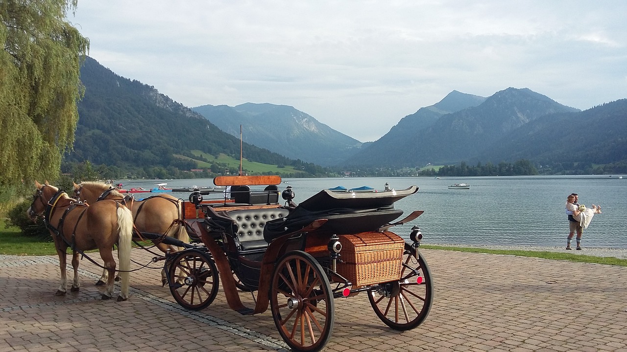 carriage wedding mountains free photo