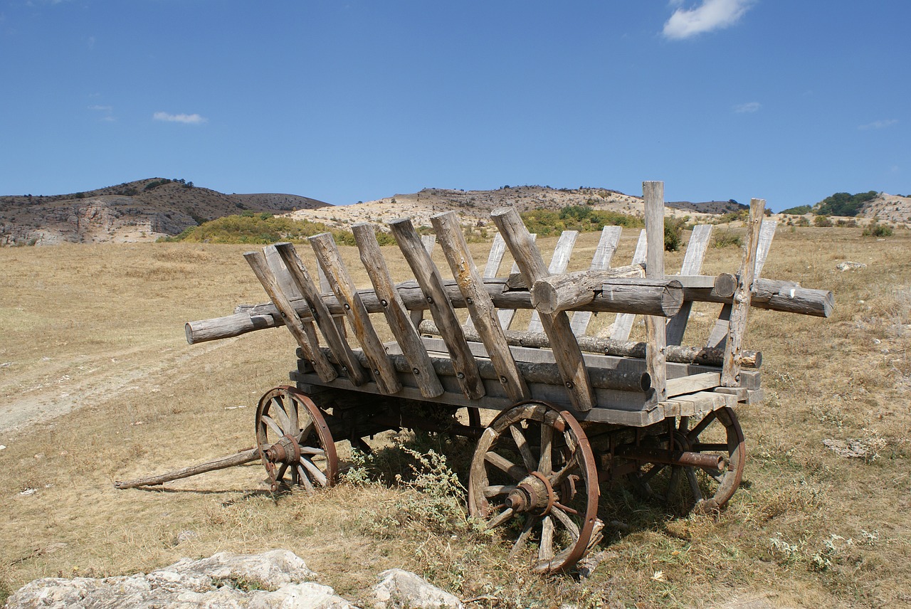 carriage perevalnoje horse-drawn free photo