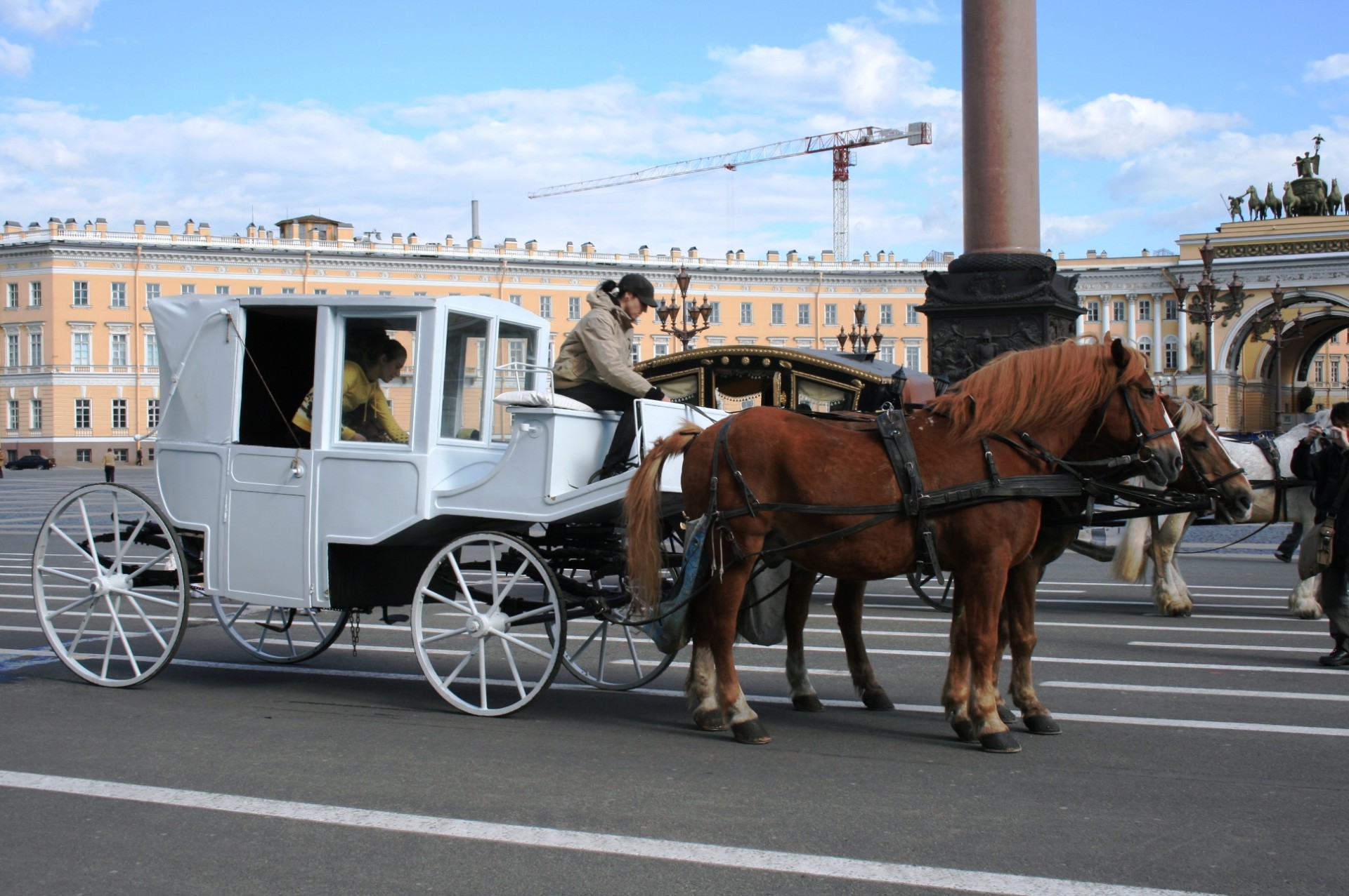 carriage white horses free photo