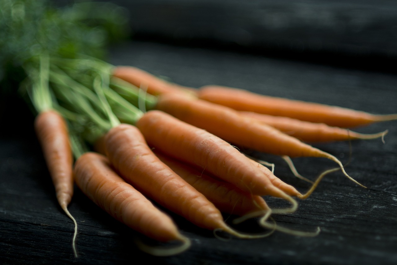 carrot food fresh free photo