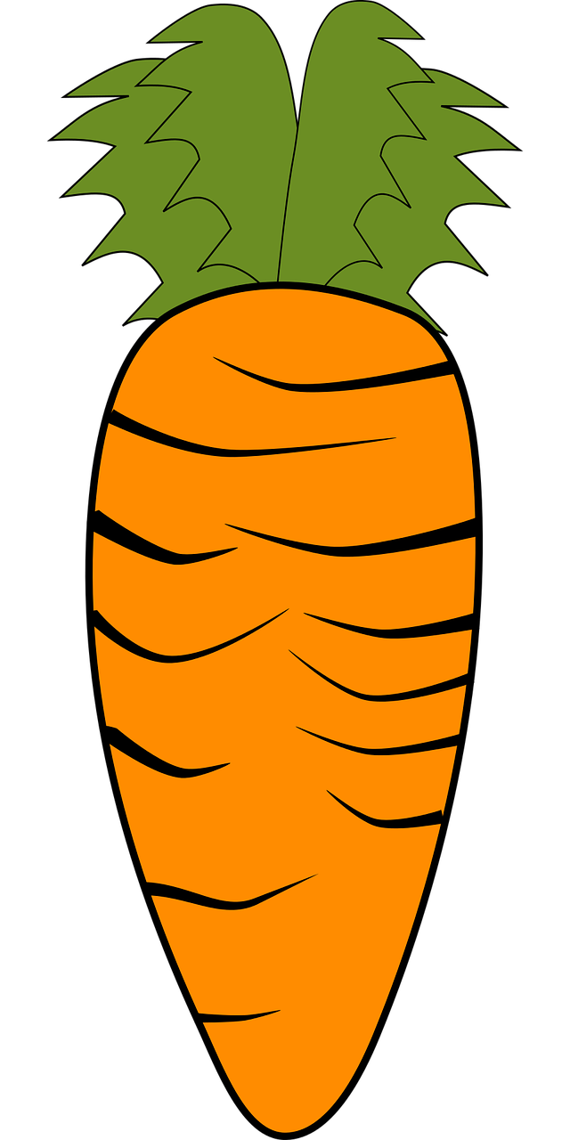 carrot vegetables orange free photo