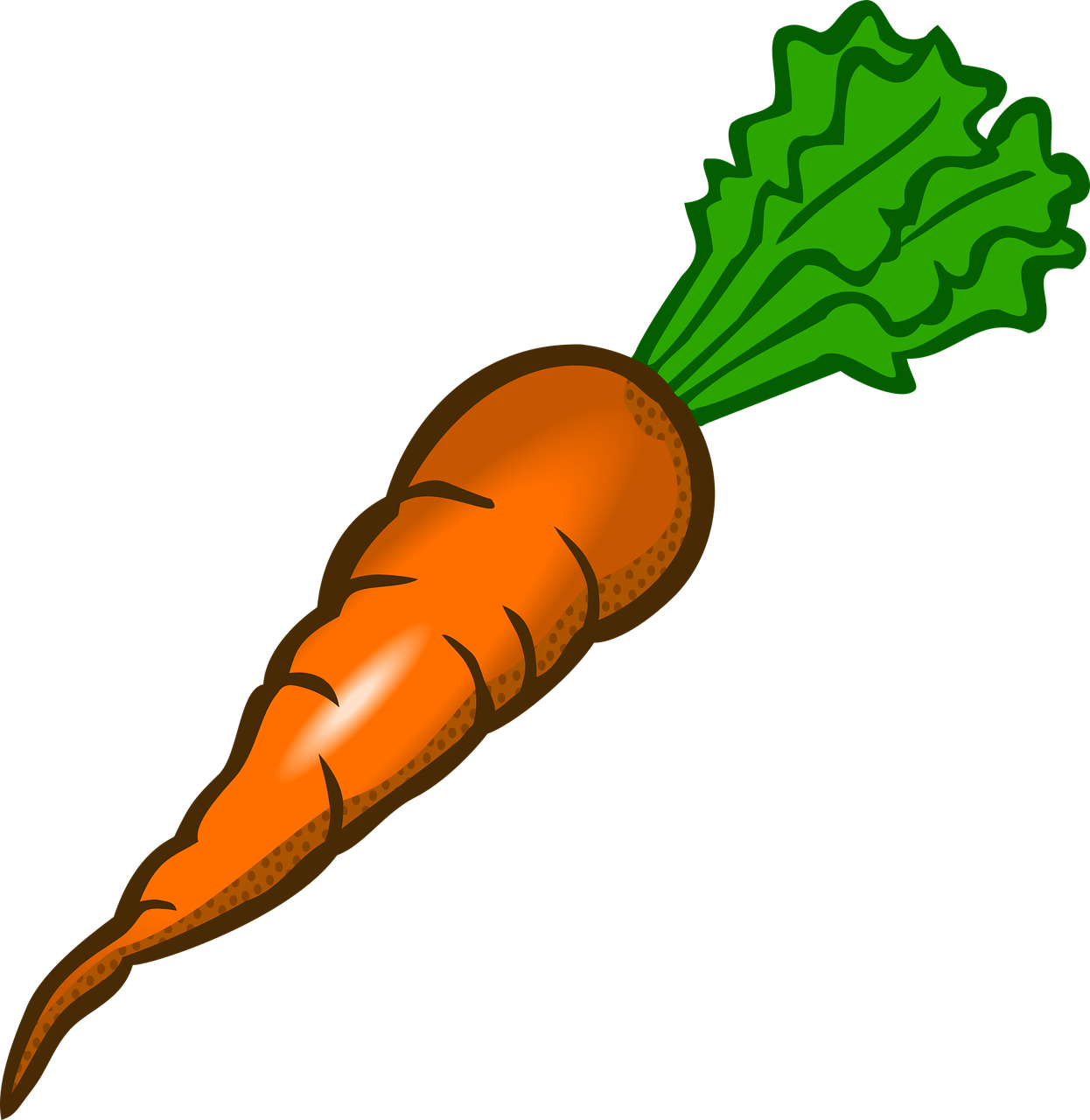 carrot vegetable food free photo