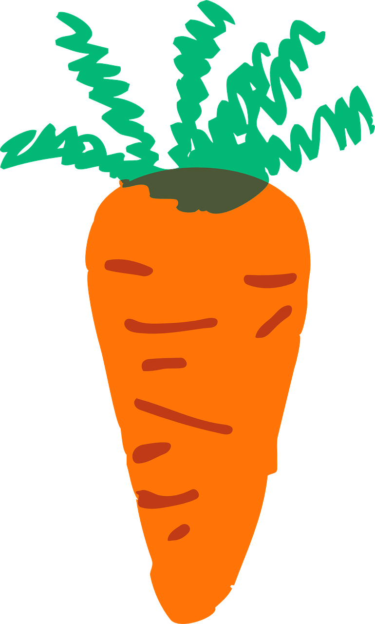 carrot orange vegetable free photo