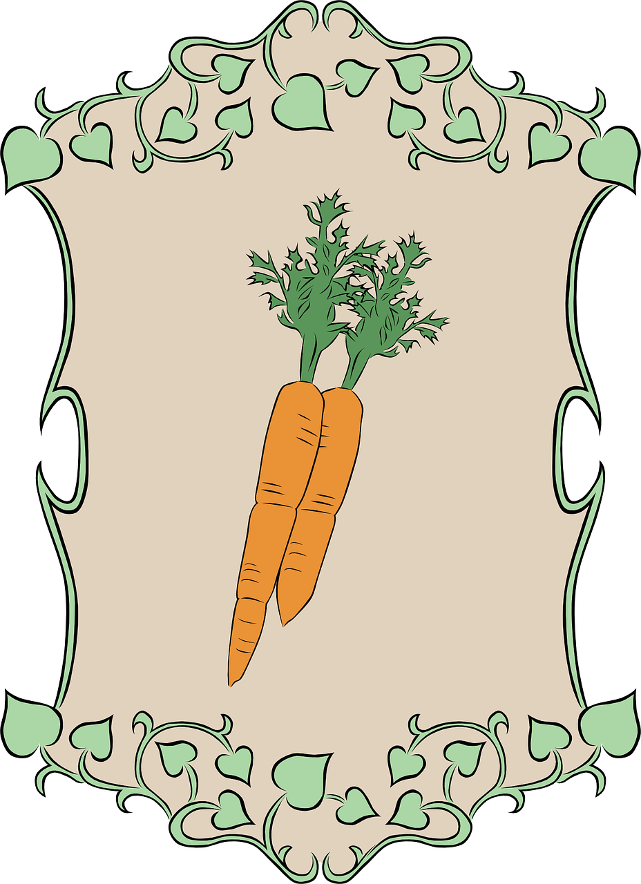 carrot garden vegetable free photo