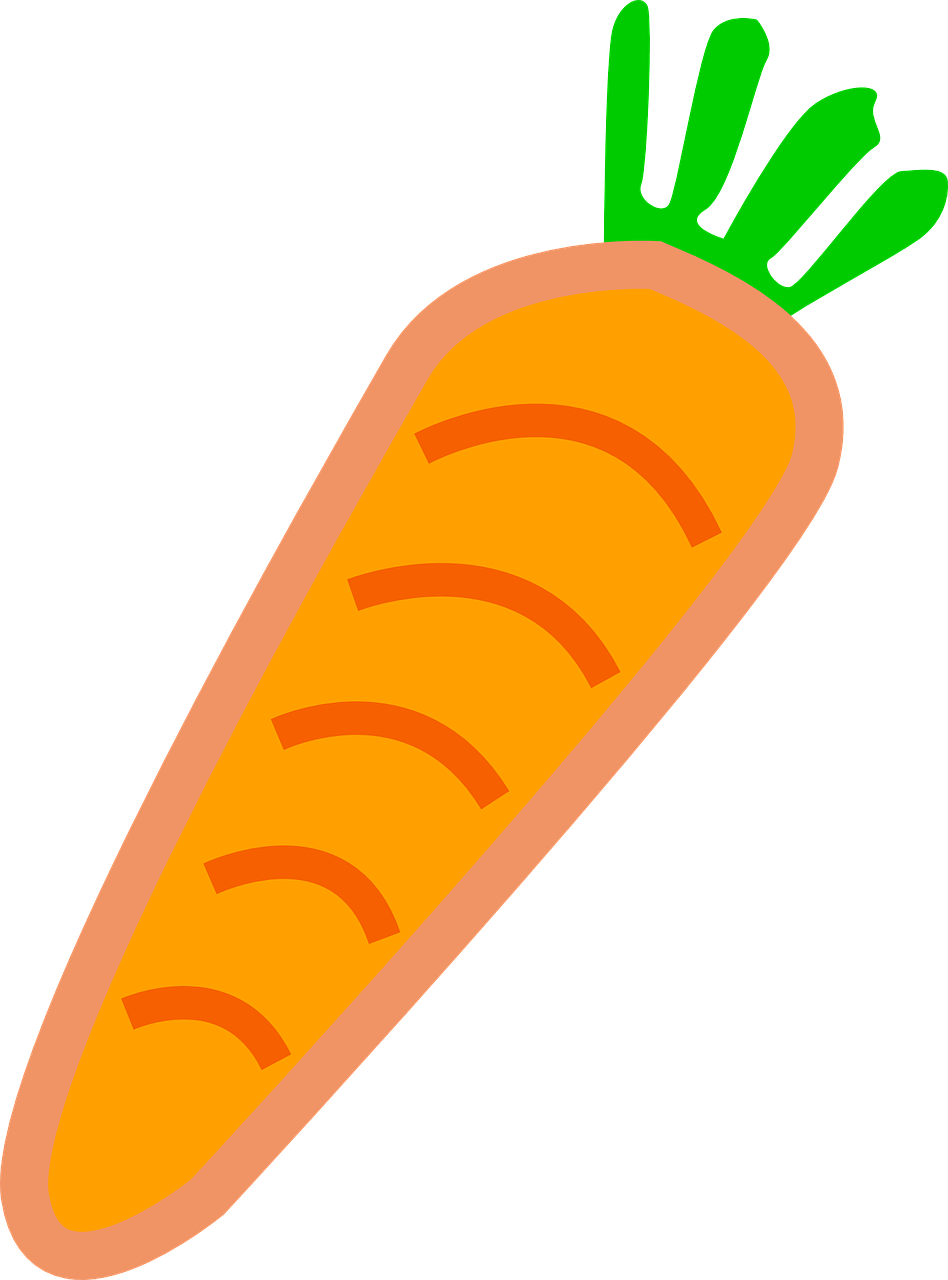 carrot vegetable orange free photo