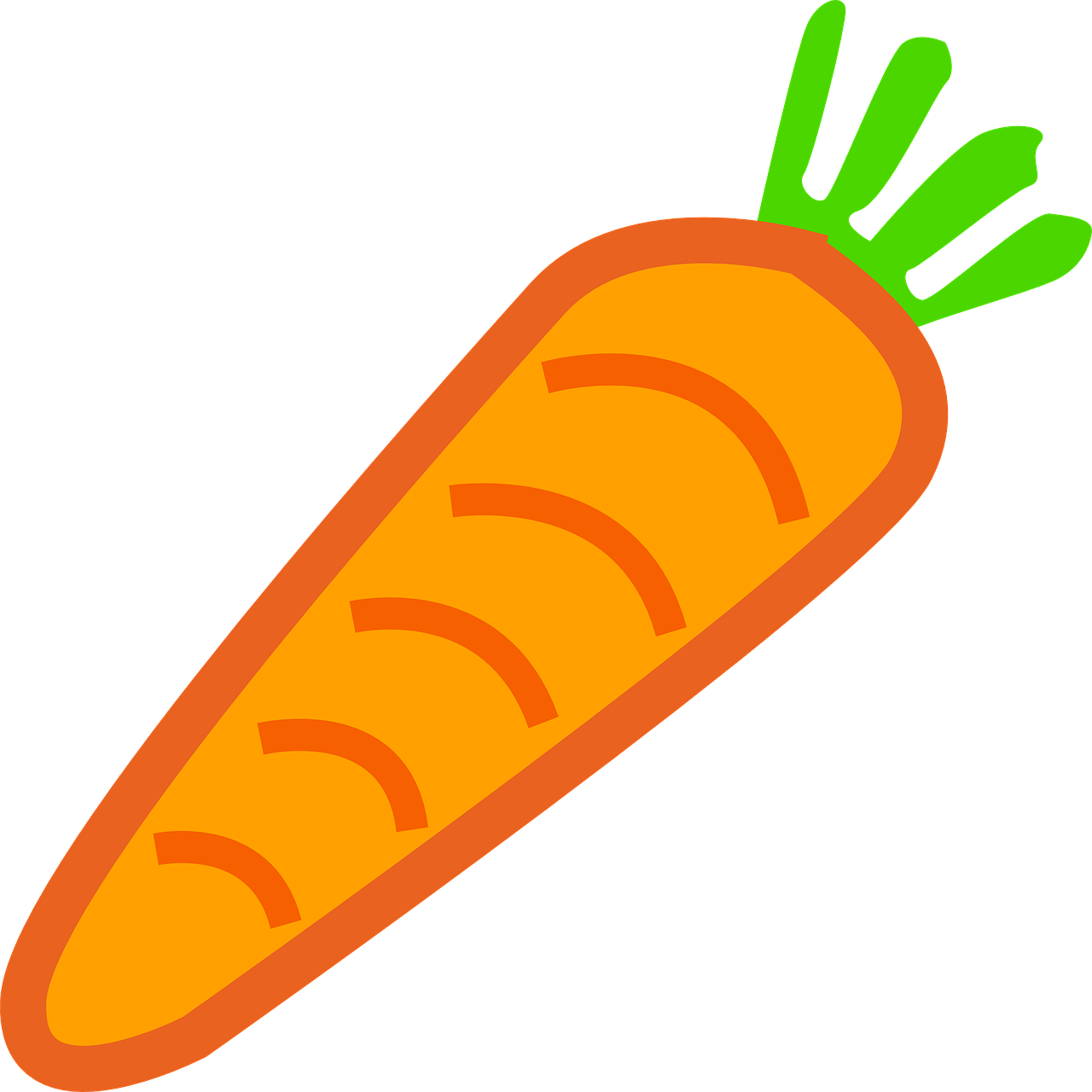 carrot vegetable healthy free photo