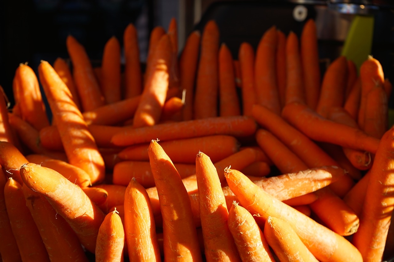 carrot vegetables healthy free photo