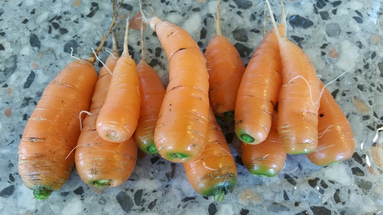 carrot carrots tuber free photo