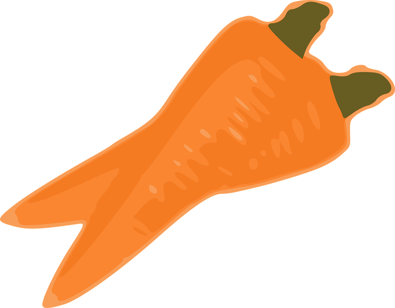 carrot orange vegetable free photo