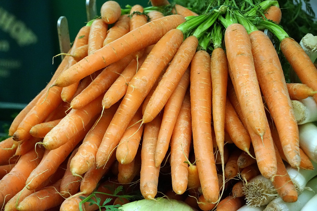 carrot carrots vegetables free photo