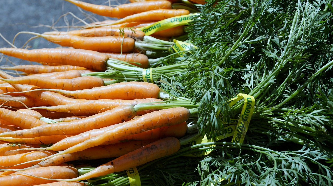 carrot vegetable farmers market free photo