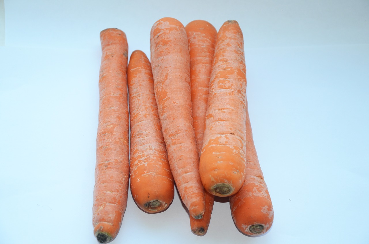 carrot vegetable use free photo