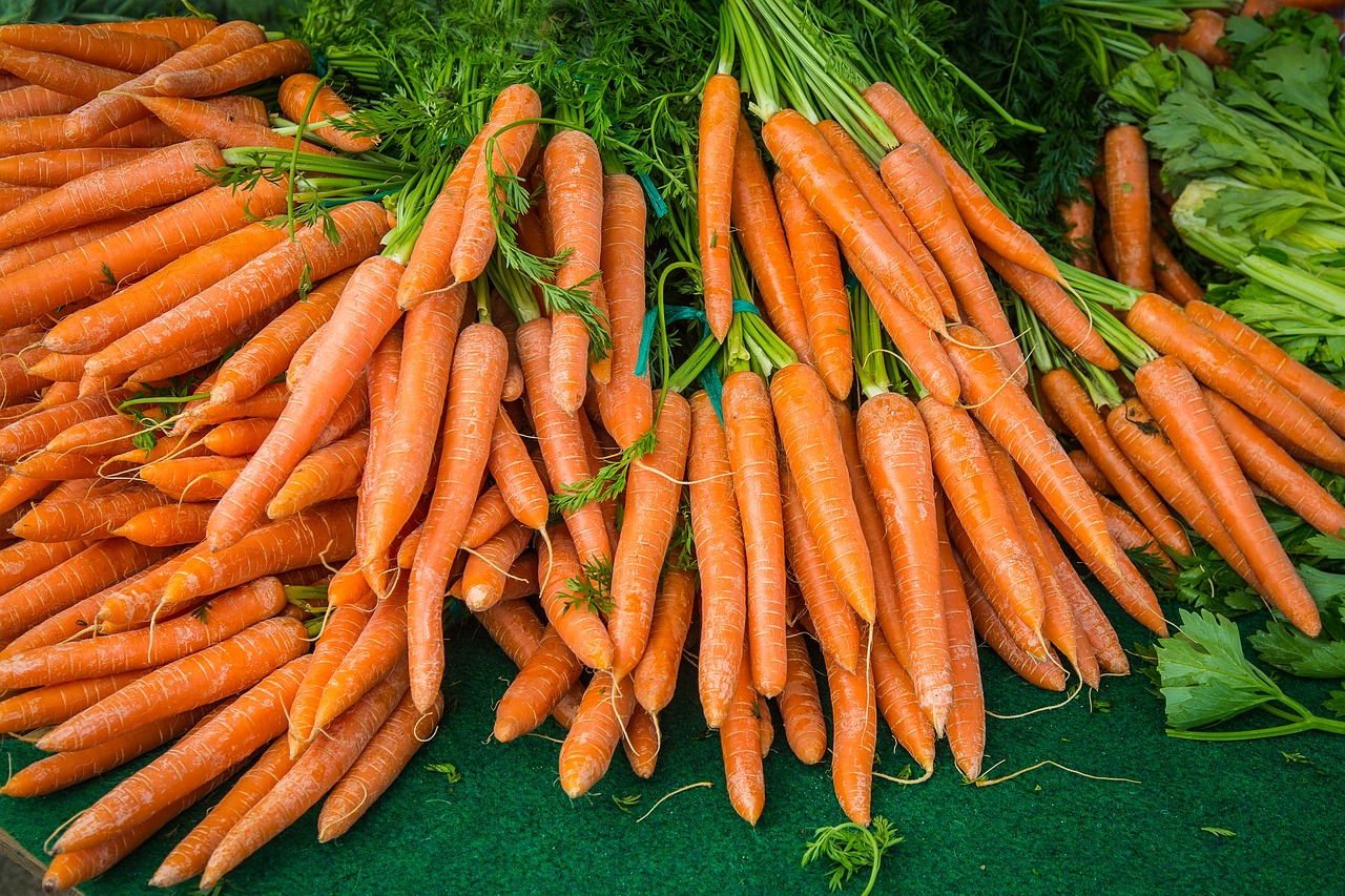 carrot turnip vegetables free photo