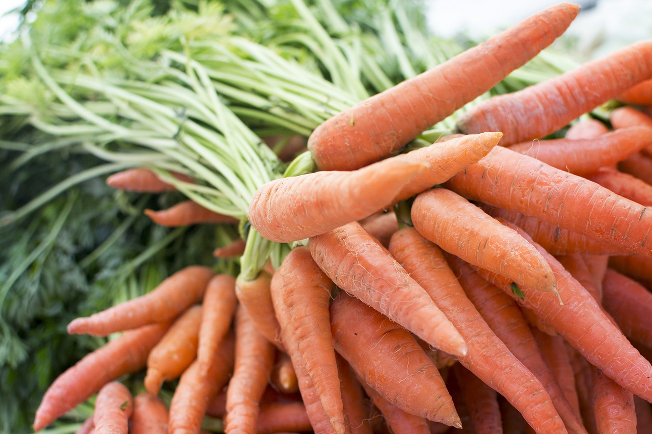 carrot produce grocery free photo